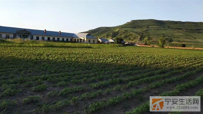 吉地转让  出售福兴小学