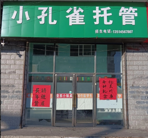 小孔雀托管的图标