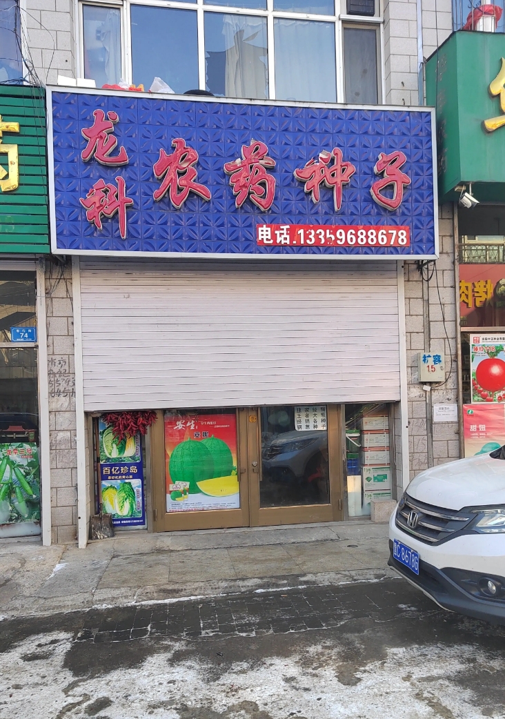 龙科农业种子的图标