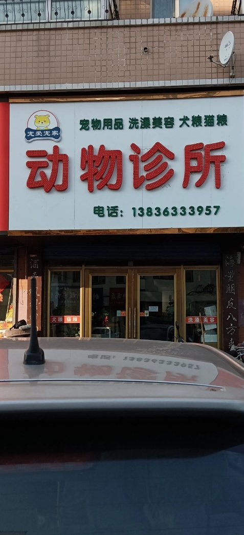 动物诊所的图标