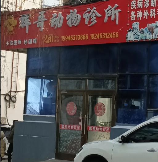 辉哥动物诊所的图标