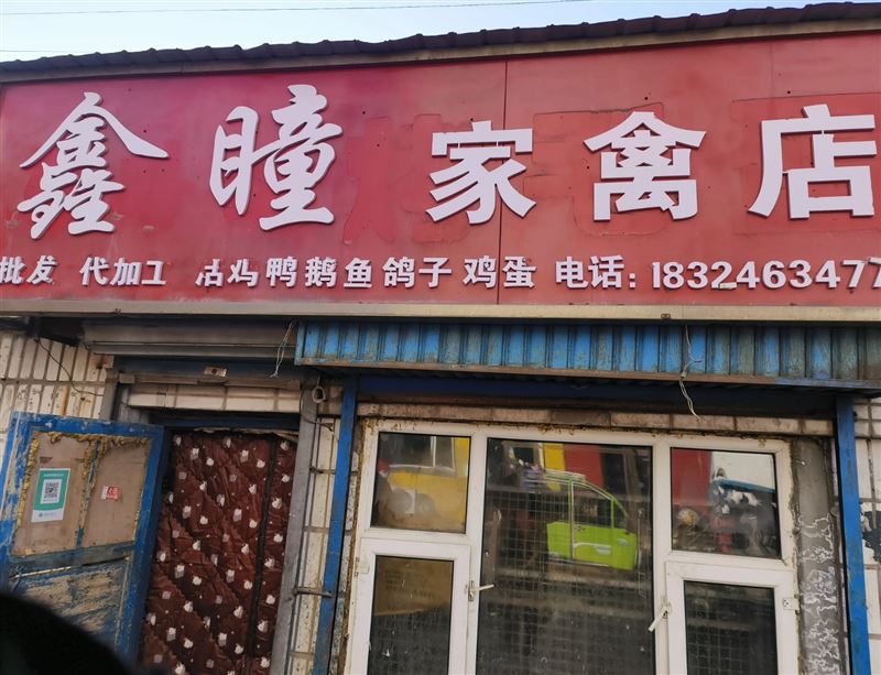 鑫瞳家禽店的图标