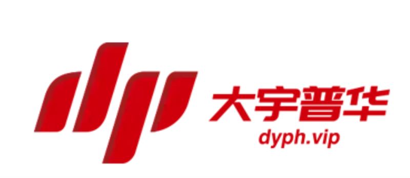 大宇普华的图标
