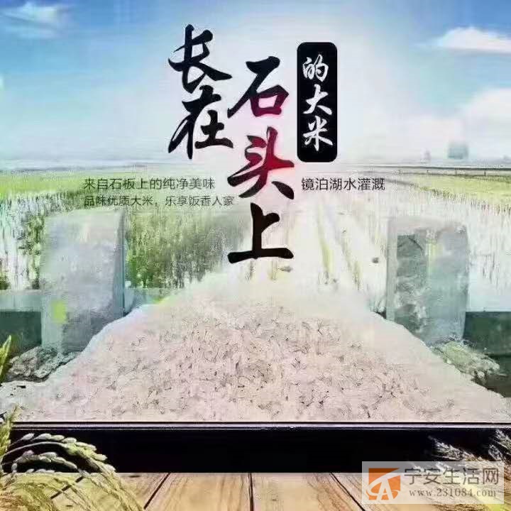 火山岩石板大米