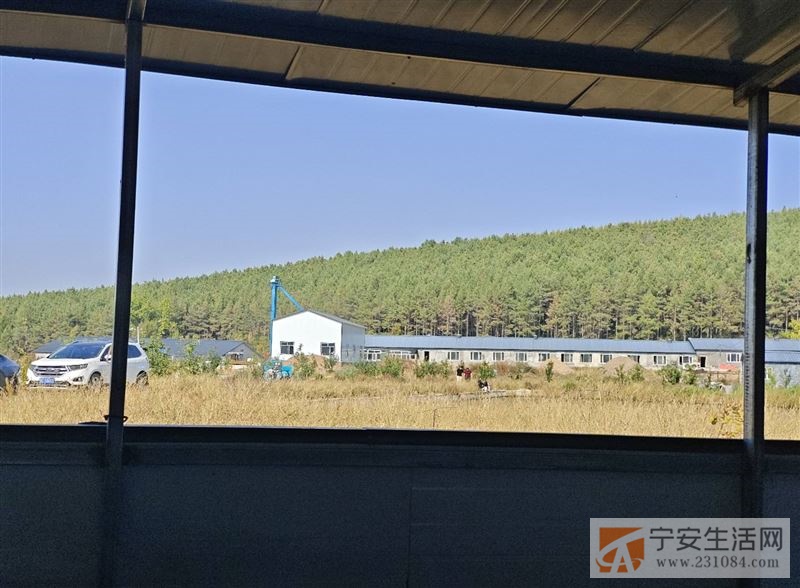 宁安猪场招住场夫妻工,待遇环境优