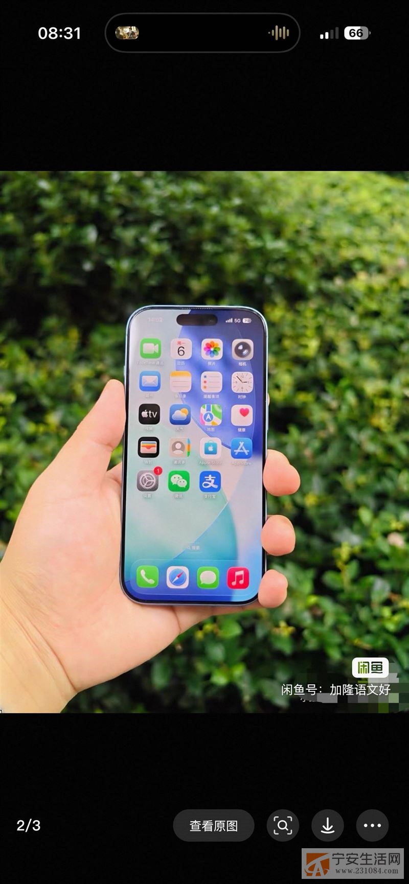 苹果17标准版256g轻雾蓝