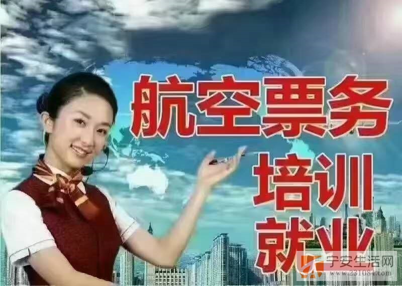 航空票务招生安置